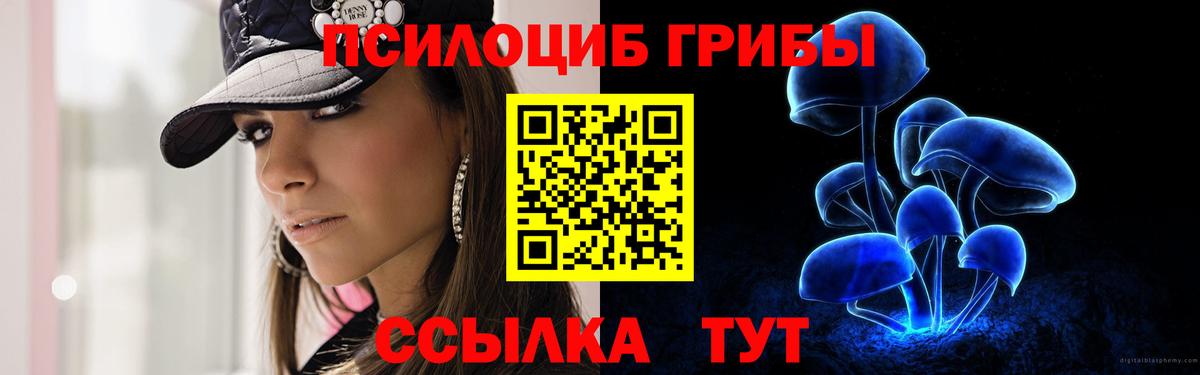 Сосновоборск  Галлюциногенные грибы GOLDEN TEACHER  Вход с VPN 